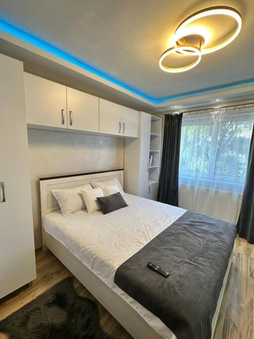 Stylish Apartment In Dambu Targu Mures Ngoại thất bức ảnh